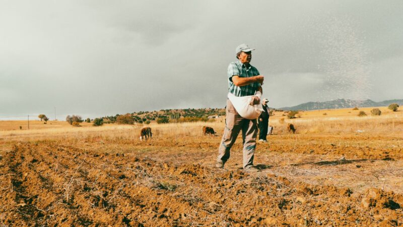 US Workers Know The Climate Crisis Is Real. Capital Won’t Protect Them