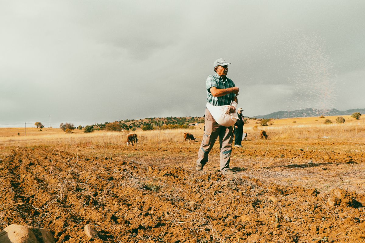 US Workers Know The Climate Crisis Is Real. Capital Won’t Protect Them