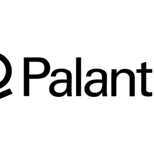 Palantir Takes the Contracts and Leaves the Tax Bill to Workers