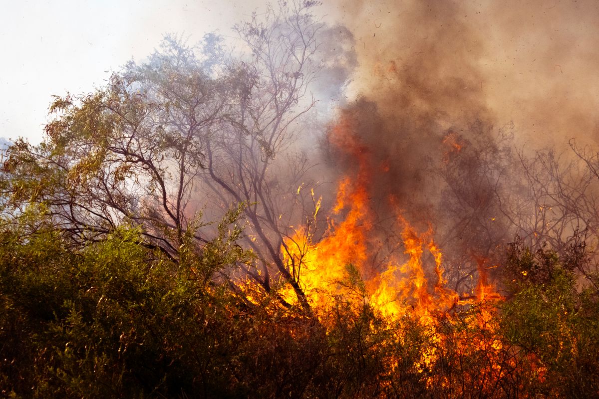 Only 20 Climate Officials in a Country on Fire