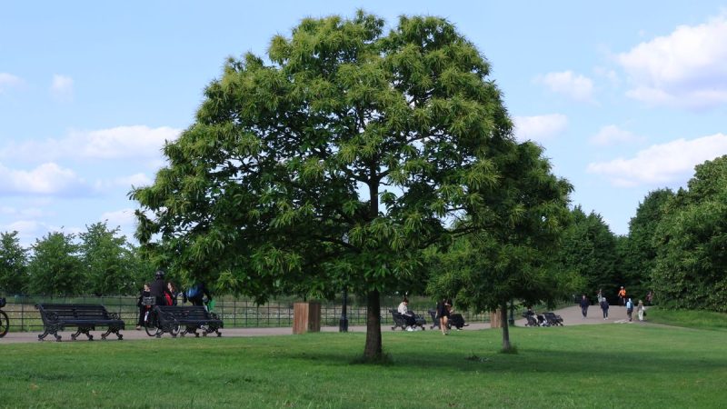 Royal Parks Gardeners Vote to Strike Over “Insulting” Pay Offer