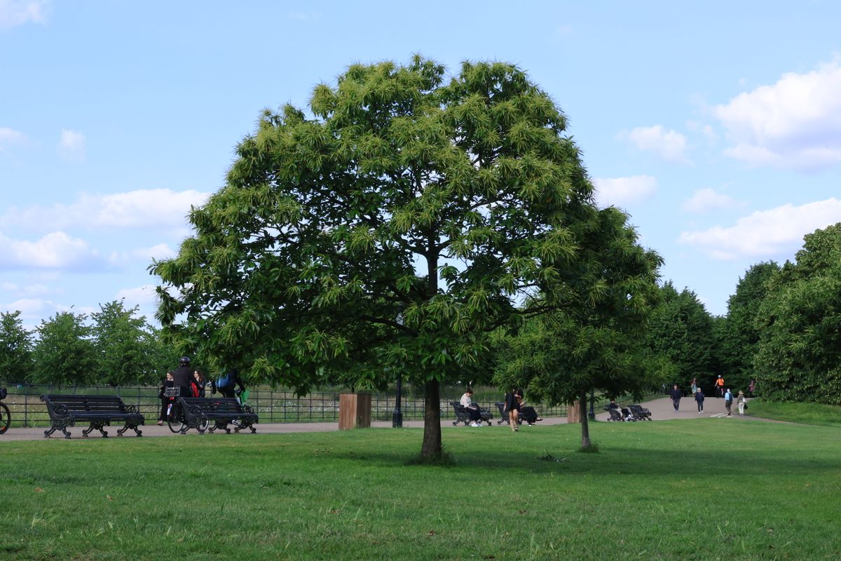Royal Parks Gardeners Vote to Strike Over “Insulting” Pay Offer