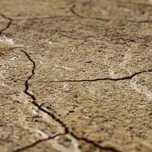 Britain’s Drought is Born of Capitalism