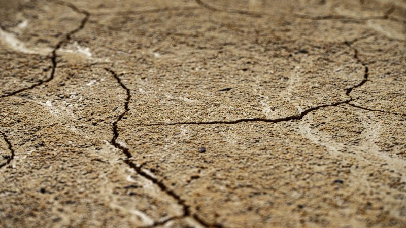 Britain’s Drought is Born of Capitalism
