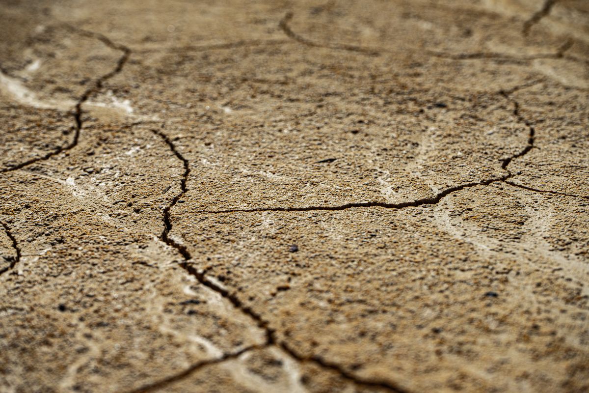 Britain’s Drought is Born of Capitalism